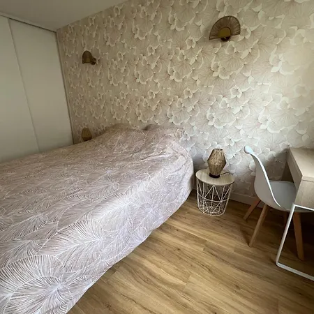 Le 23 St-sernin - Capitole - 2 Bdrs 30m2, Terrace, Free Private Car Park - T3 60m2 Terrasse, Parking Prive Gratuit דירה טולוז